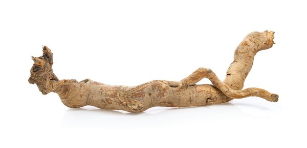 Les bienfaits insoupçonnés du tongkat ali pour votre santé: découvrez ses pouvoirs